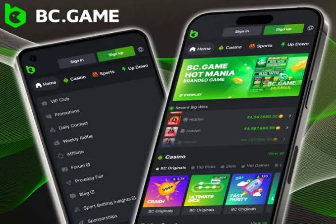 BC.Game Poland Login Your Gateway to Exciting Online Gaming 934781145